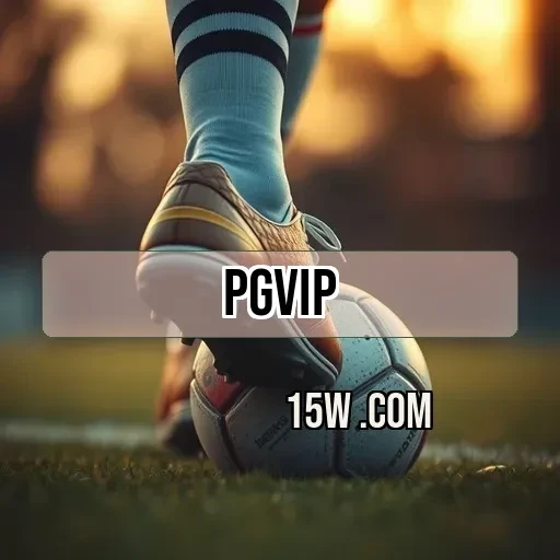 pgvip Educacional